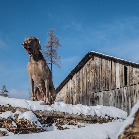 Pension Pod Morskym Okem Karlovice  Esterno foto