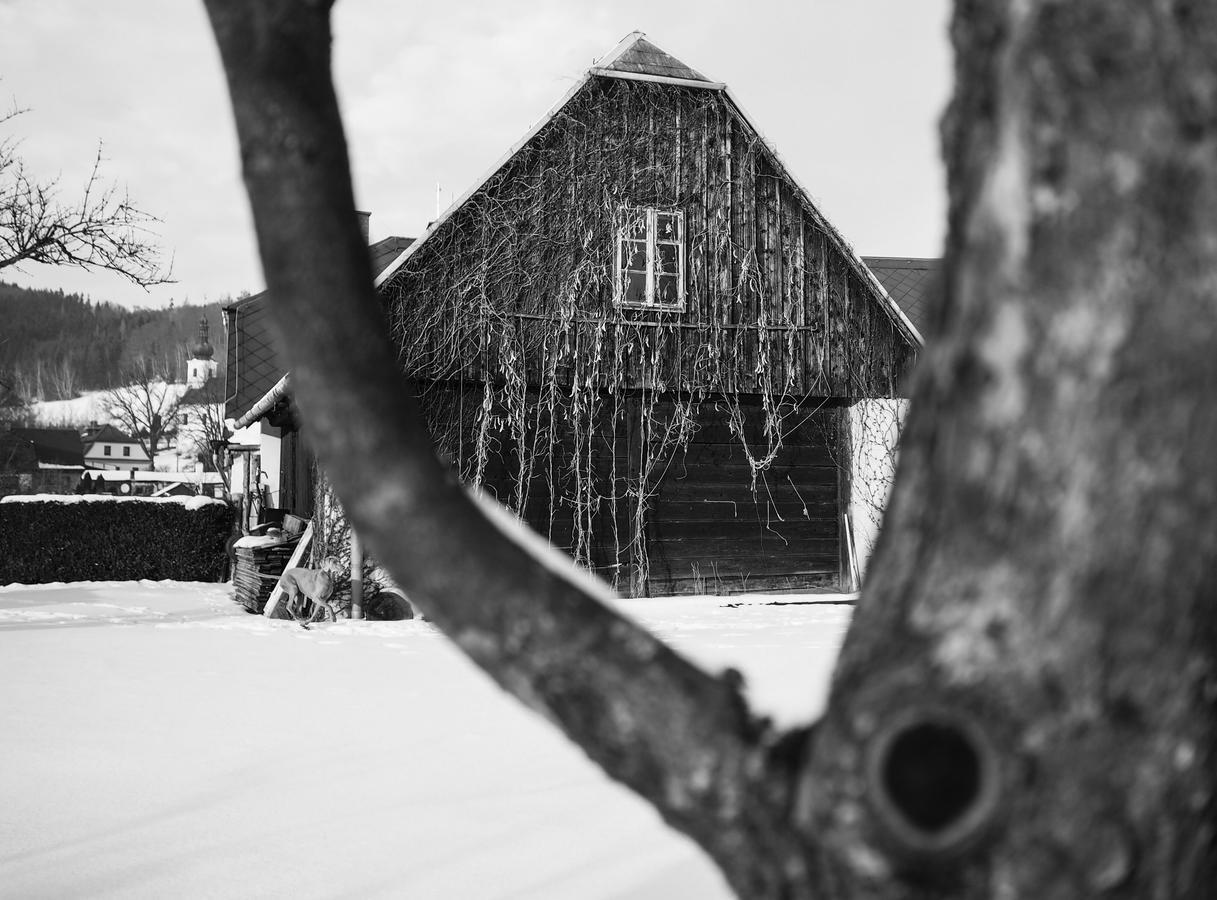 Pension Pod Morskym Okem Karlovice  Esterno foto
