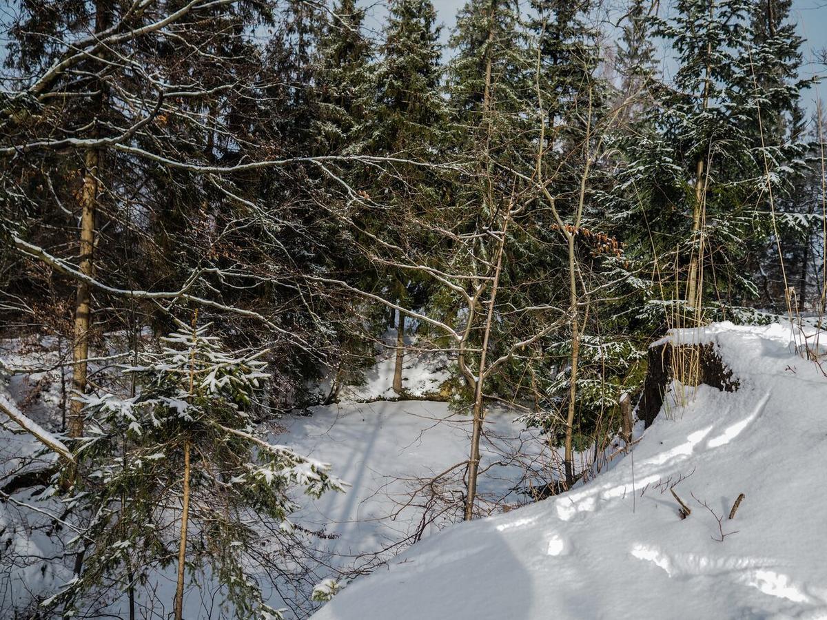 Pension Pod Morskym Okem Karlovice  Esterno foto
