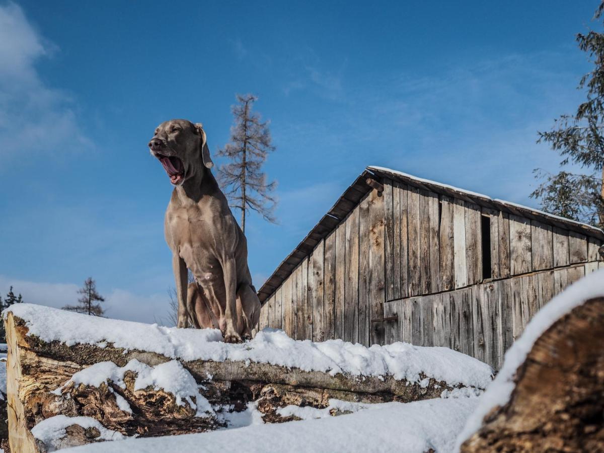 Pension Pod Morskym Okem Karlovice  Esterno foto
